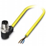 1424923 Picture