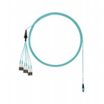FXTRP8NUJSNF010 Picture