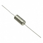 T110D107K020AT Picture