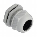 GC1001-G Picture