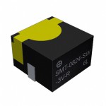 SMT-0824-SW-3V-R Picture