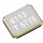 TSX-3225 48.00M-90AAFFG40REB Picture