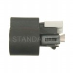 B2500980 Picture