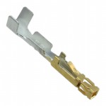 CC81L-2426-01-L Picture