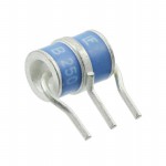 SL1021B250R Picture