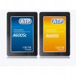 AF960GSTCJ-7BAIP Picture