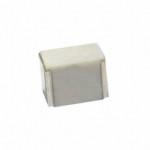 F161SP334K063V Picture