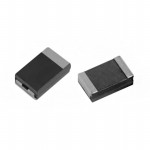 T4ZG106K025CRLB4900 Picture