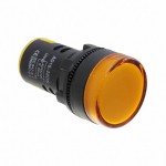 FL1P-22NA-1-Y24V Picture