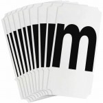 8250-M Picture