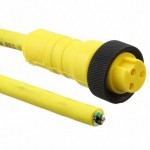 RK 30-838/4M Picture