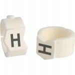 SCN36-H Picture