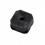 TE082703-3 Picture