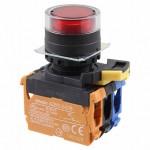 A22NL-BGM-TRA-G102-RD Picture