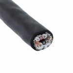 25274 BK005 Picture