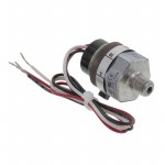P119G-3H-C12L-DIS Picture