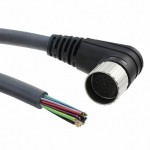 EW1900127 BK359 Picture