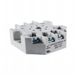 R95-101 Picture