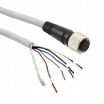 WY1-CCN3 Picture