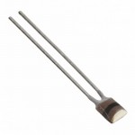 NTCLE100E3101JB0 Picture