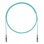 FZTRL7N7NYNM001 Picture