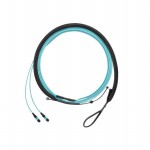 FXTRL7NQSONM1.5 Picture
