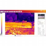 SENSE REPORTING Picture