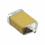 F951D106KSAAQ2 Picture