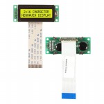 NHD-02161Z-FSY-YBW-C Picture