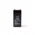 BW 445 Picture