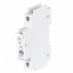 C2A1P Picture
