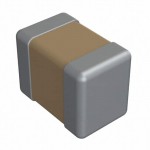 C08BL242X-5ZN-X0B Picture