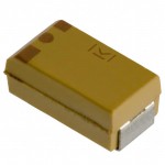 T494C106K025AS Picture